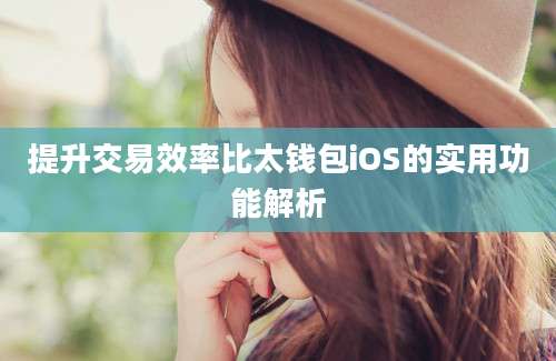 提升交易效率比太钱包iOS的实用功能解析