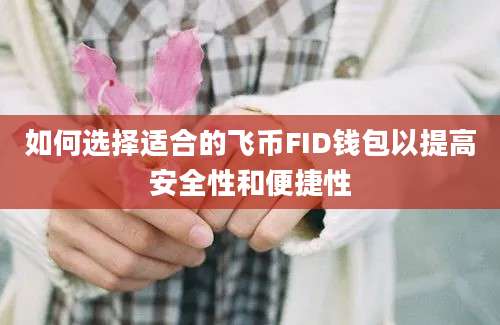 如何选择适合的飞币FID钱包以提高安全性和便捷性