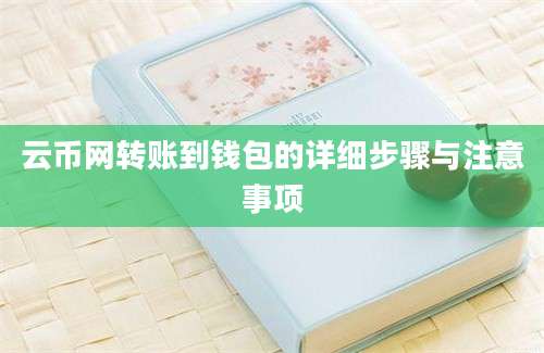 云币网转账到钱包的详细步骤与注意事项