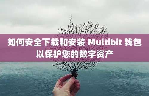 如何安全下载和安装 Multibit 钱包以保护您的数字资产