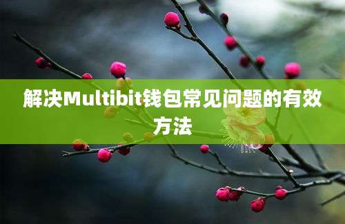 解决Multibit钱包常见问题的有效方法