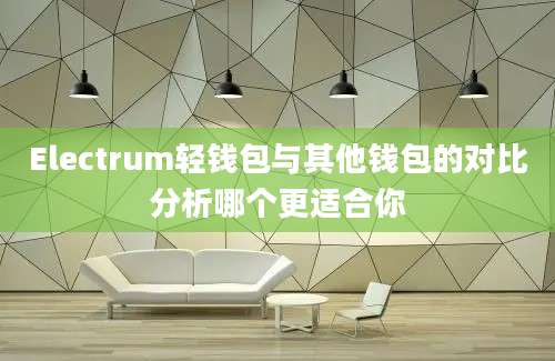 Electrum轻钱包与其他钱包的对比分析哪个更适合你