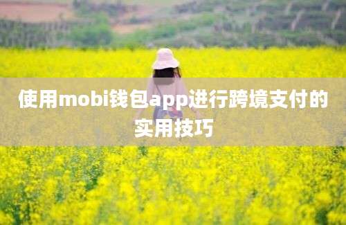 使用mobi钱包app进行跨境支付的实用技巧