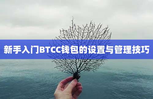 新手入门BTCC钱包的设置与管理技巧