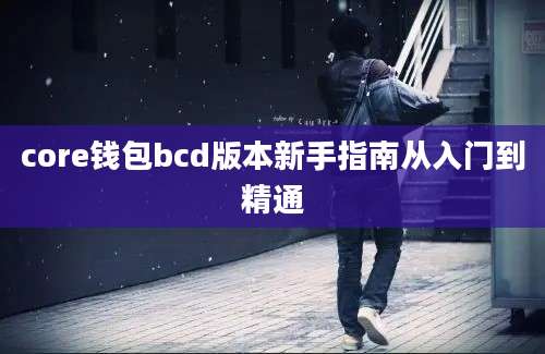 core钱包bcd版本新手指南从入门到精通