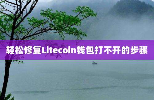 轻松修复Litecoin钱包打不开的步骤