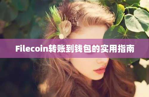 Filecoin转账到钱包的实用指南