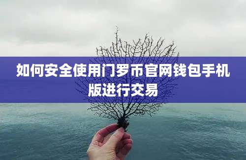 如何安全使用门罗币官网钱包手机版进行交易