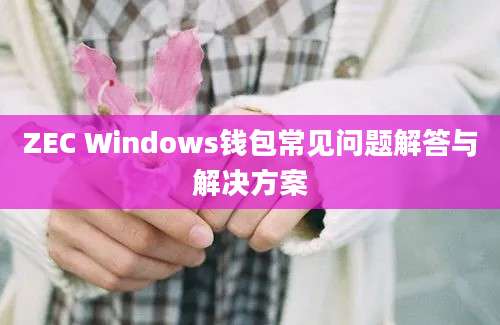 ZEC Windows钱包常见问题解答与解决方案