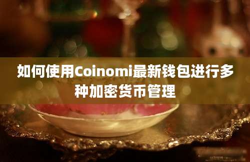 如何使用Coinomi最新钱包进行多种加密货币管理