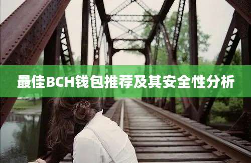 最佳BCH钱包推荐及其安全性分析