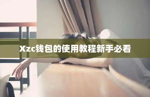 Xzc钱包的使用教程新手必看