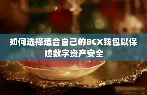 如何选择适合自己的BCX钱包以保障数字资产安全