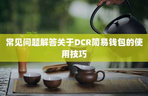 常见问题解答关于DCR简易钱包的使用技巧