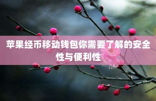 苹果经币移动钱包你需要了解的安全性与便利性