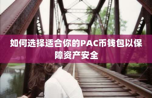 如何选择适合你的PAC币钱包以保障资产安全