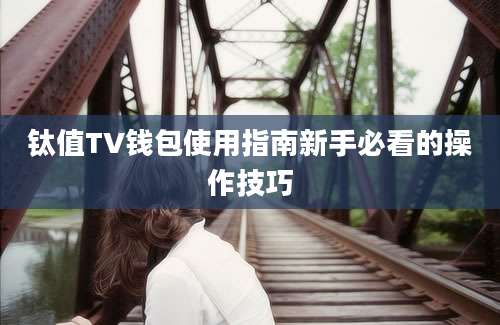 钛值TV钱包使用指南新手必看的操作技巧