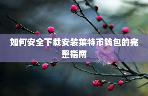 如何安全下载安装莱特币钱包的完整指南