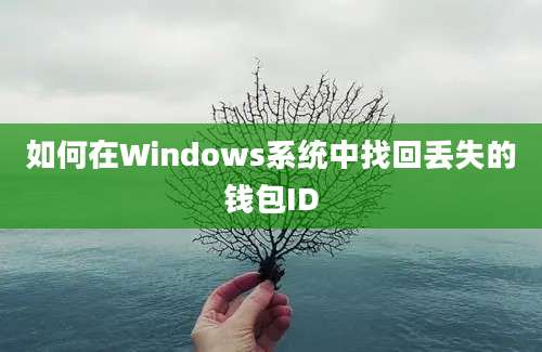 如何在Windows系统中找回丢失的钱包ID