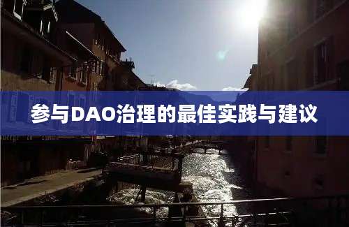 参与DAO治理的最佳实践与建议