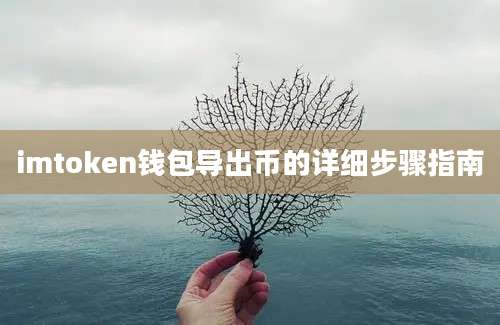 imtoken钱包导出币的详细步骤指南