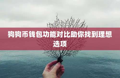 狗狗币钱包功能对比助你找到理想选项