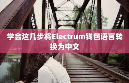 学会这几步将Electrum钱包语言转换为中文