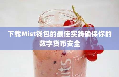 下载Mist钱包的最佳实践确保你的数字货币安全