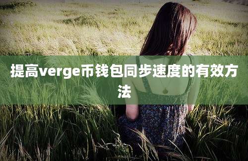 提高verge币钱包同步速度的有效方法