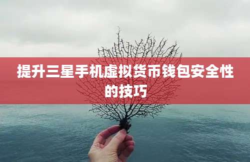 提升三星手机虚拟货币钱包安全性的技巧