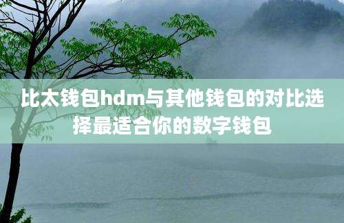 比太钱包hdm与其他钱包的对比选择最适合你的数字钱包