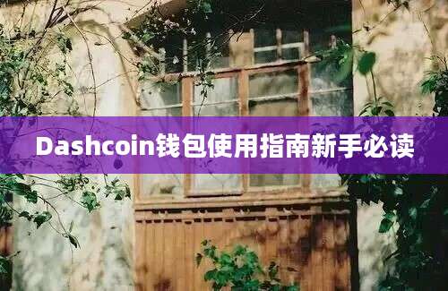 Dashcoin钱包使用指南新手必读