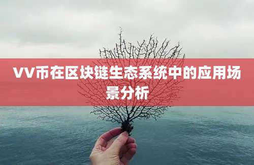 VV币在区块链生态系统中的应用场景分析