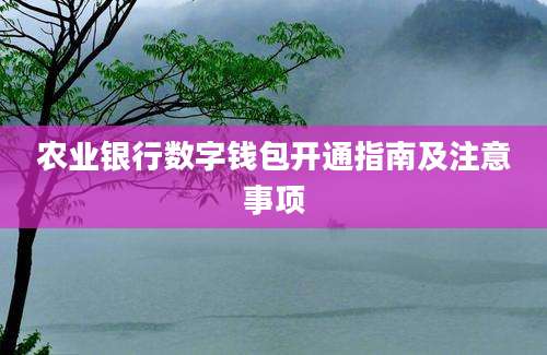 农业银行数字钱包开通指南及注意事项