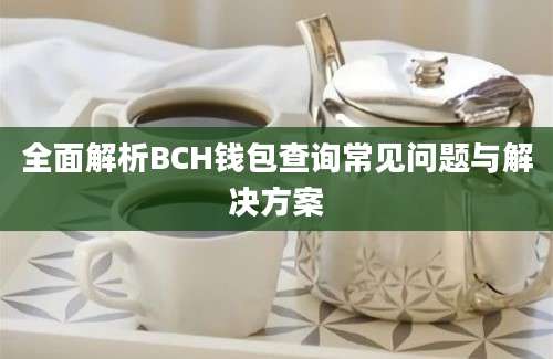 全面解析BCH钱包查询常见问题与解决方案