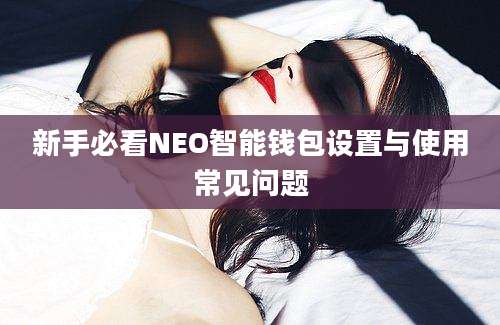 新手必看NEO智能钱包设置与使用常见问题