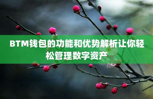 BTM钱包的功能和优势解析让你轻松管理数字资产