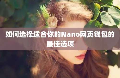 如何选择适合你的Nano网页钱包的最佳选项