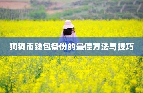 狗狗币钱包备份的最佳方法与技巧