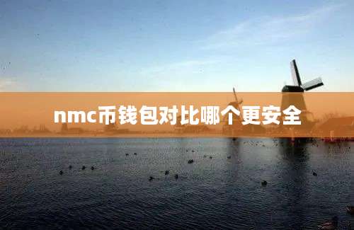 nmc币钱包对比哪个更安全