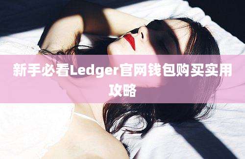 新手必看Ledger官网钱包购买实用攻略