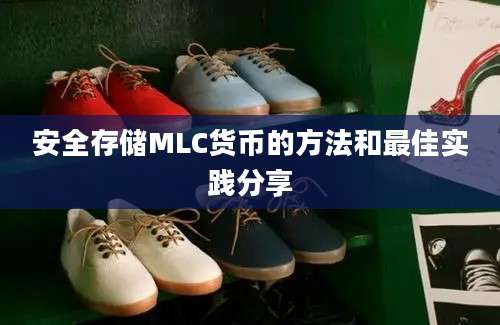 安全存储MLC货币的方法和最佳实践分享