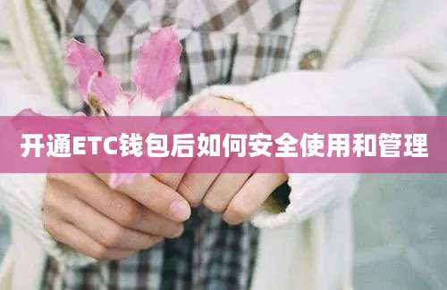 开通ETC钱包后如何安全使用和管理