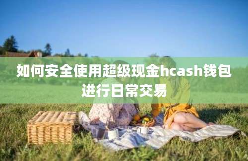 如何安全使用超级现金hcash钱包进行日常交易