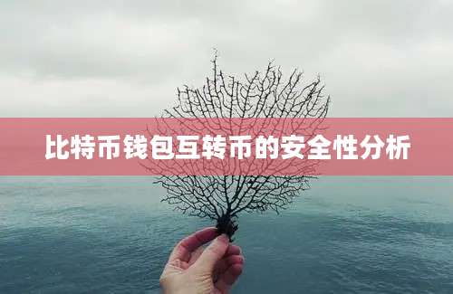 比特币钱包互转币的安全性分析