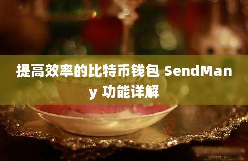 提高效率的比特币钱包 SendMany 功能详解