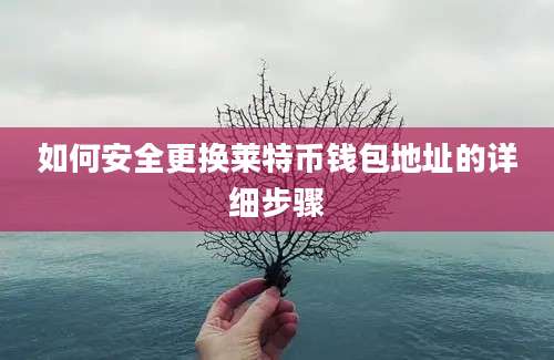 如何安全更换莱特币钱包地址的详细步骤