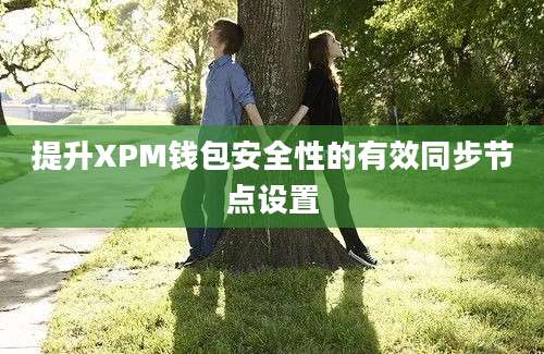 提升XPM钱包安全性的有效同步节点设置