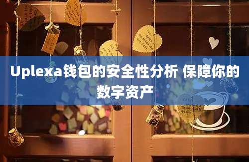 Uplexa钱包的安全性分析 保障你的数字资产