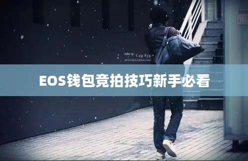 EOS钱包竞拍技巧新手必看